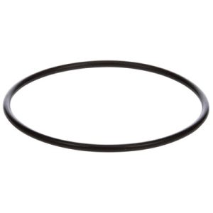 AM151122, Pentek O-Ring, Big Blue, 151122