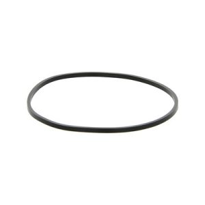 AM151254, Pentek O-Ring, Big Clear Square Cut, 151254